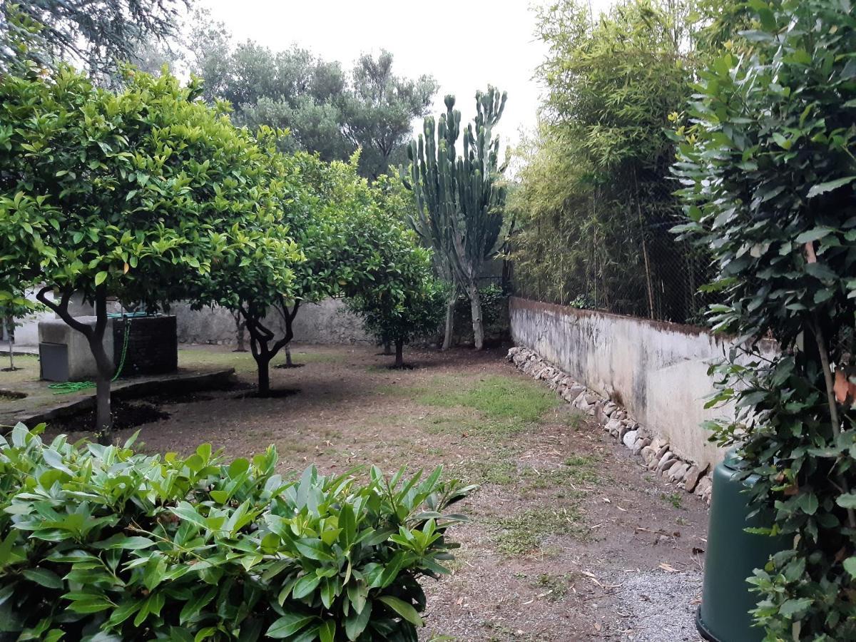 Villa Livia Villammare Luaran gambar
