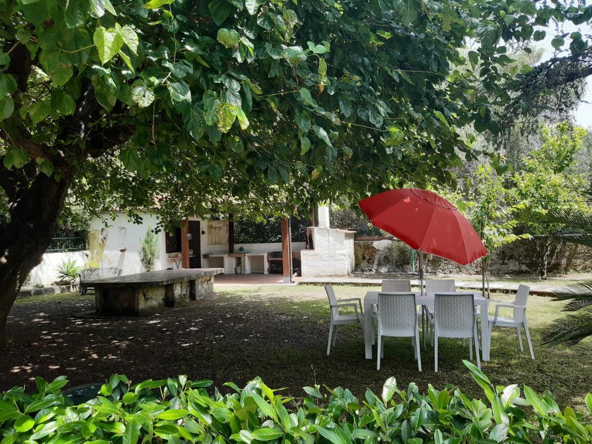 Villa Livia Villammare Luaran gambar