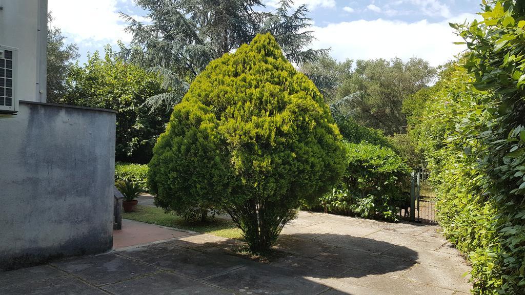 Villa Livia Villammare Luaran gambar