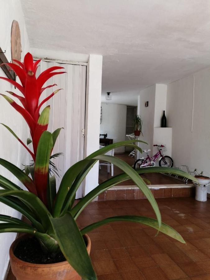Villa Livia Villammare Luaran gambar